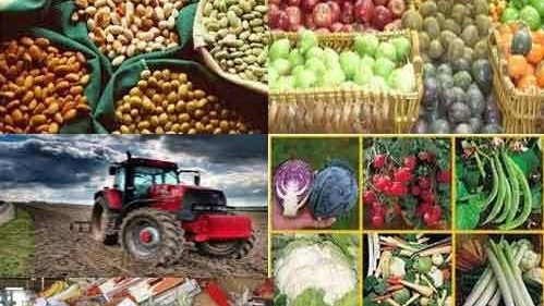 Agro Produce