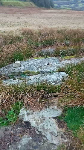 Carn Llechart Stone Circle & Cairn - Swansea