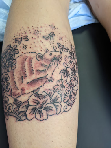 Tattoo Shop «Hydra Electric Tattoo», reviews and photos, 317 Green Bay Rd, Highwood, IL 60040, USA