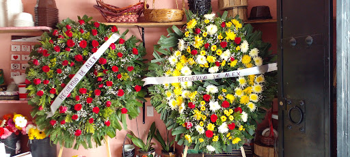 Floristeria bethel florería en  en la zona Barrio de los Granados