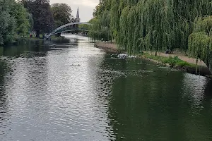 Butterfly Bridge image