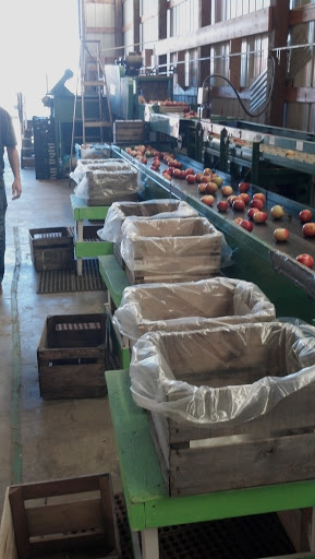 Produce Market «Welsh Heritage Farms», reviews and photos, 20758 528th Ave, Lake Crystal, MN 56055, USA