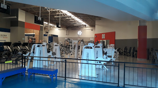 Ultra Gym & Fitness Carrousel