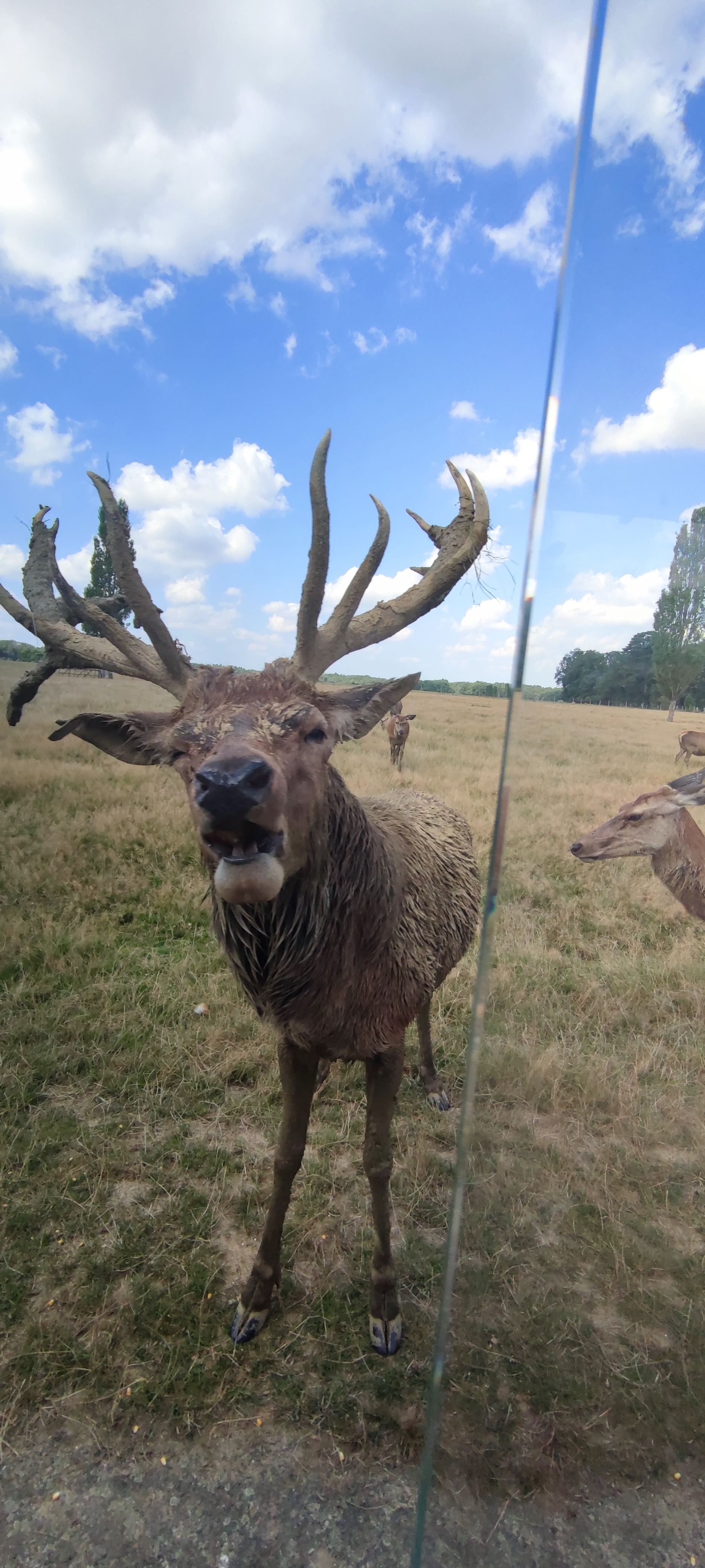 Photo n° 2 de l'avis de Amelie.o fait le 13/08/2021 à 15:00
