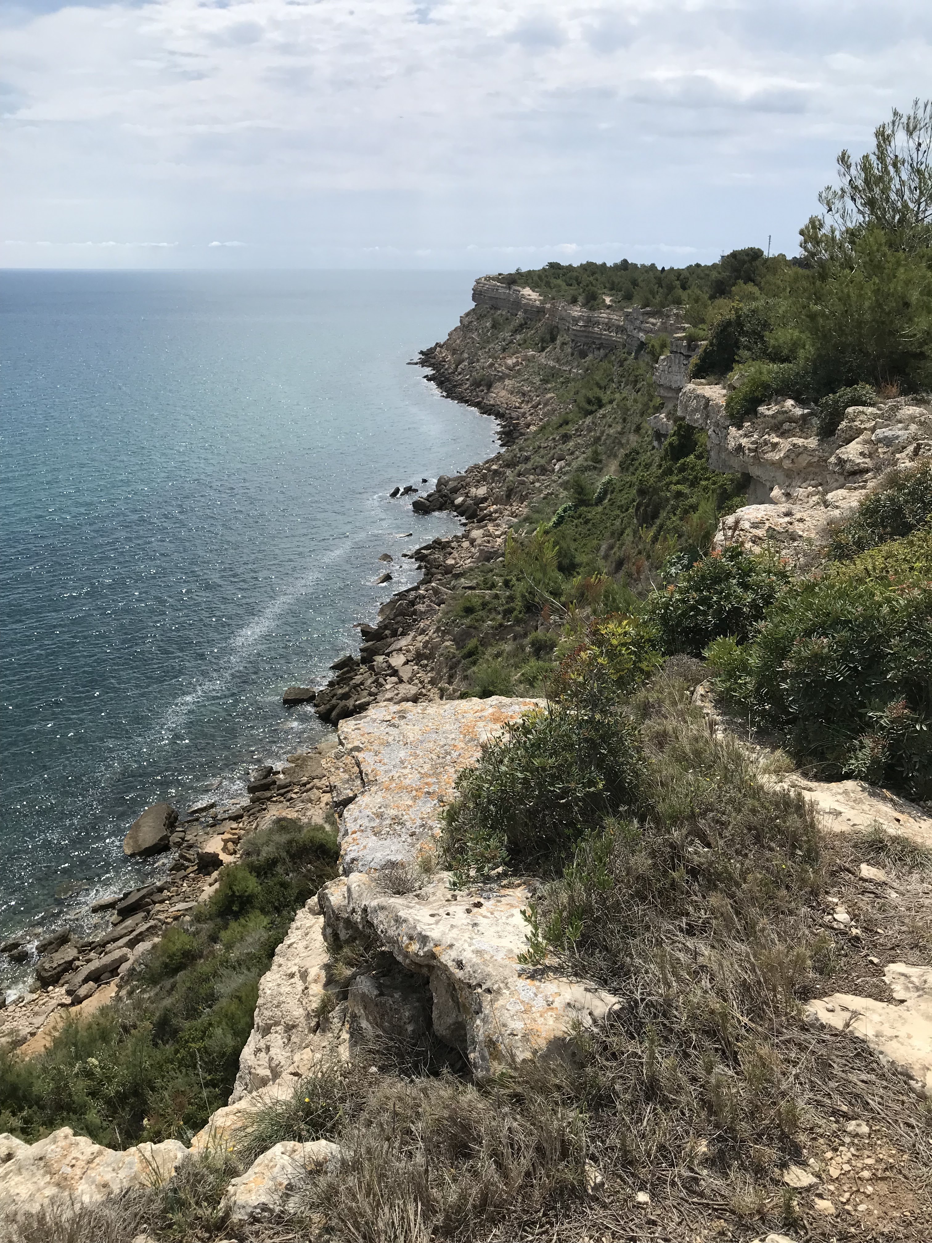 Photo n° 5 de l'avis de Michel.e fait le 15/07/2023 à 12:20