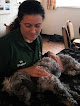 Northants Canine Massage Therapy Clinic
