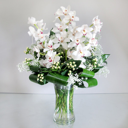 Garden Center «Central Florist & Nursery», reviews and photos, 928 Park St, Stoughton, MA 02072, USA