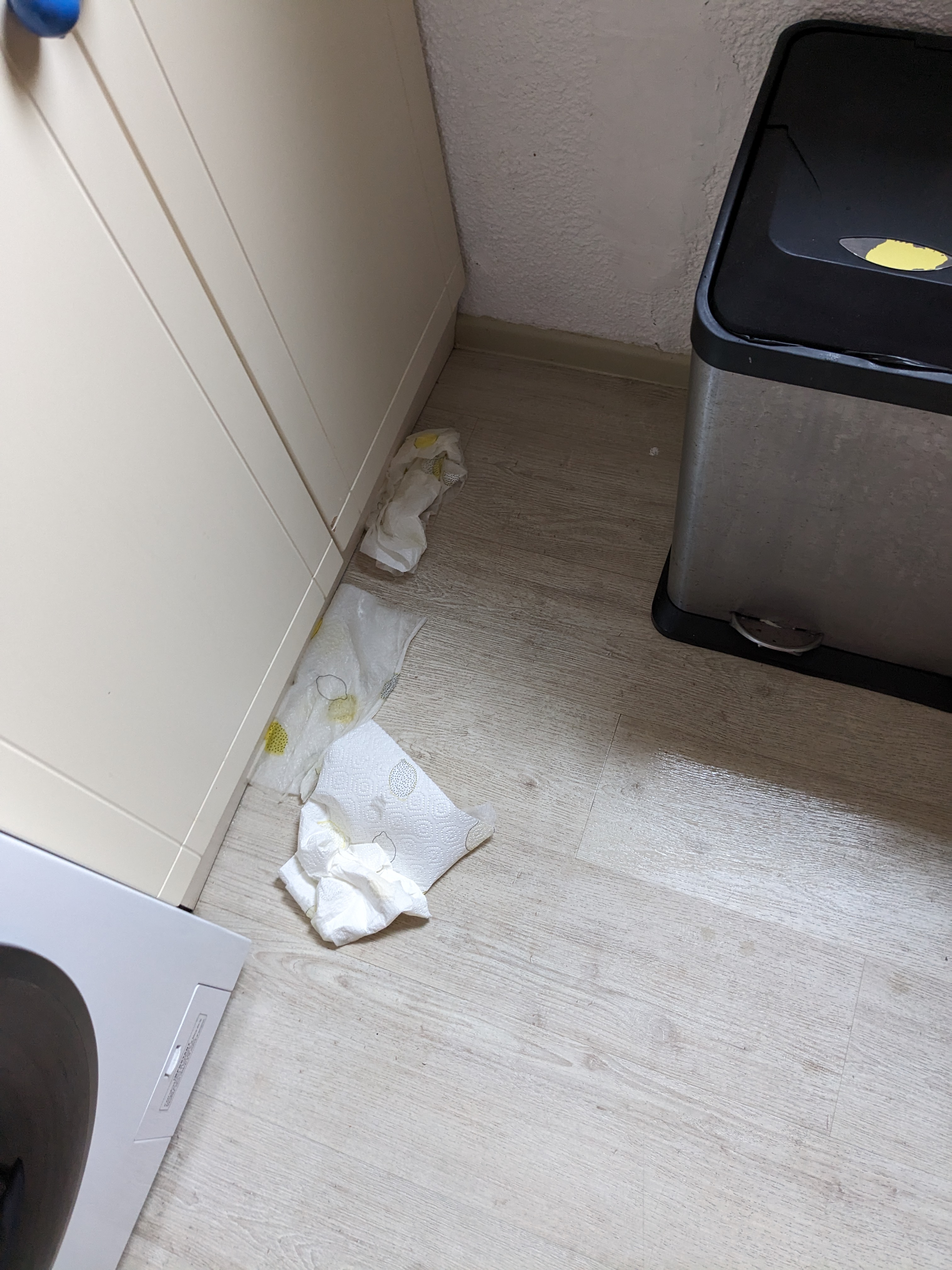Photo n° 4 de l'avis de Philipp.o fait le 10/09/2023 à 18:33