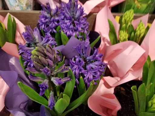 Grocery Store «Food Lion», reviews and photos, 1903 SC-544, Conway, SC 29526, USA