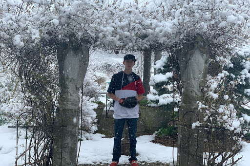 Garden Center «Southern Exposure», reviews and photos, 11269-N Dr North, Battle Creek, MI 49015, USA