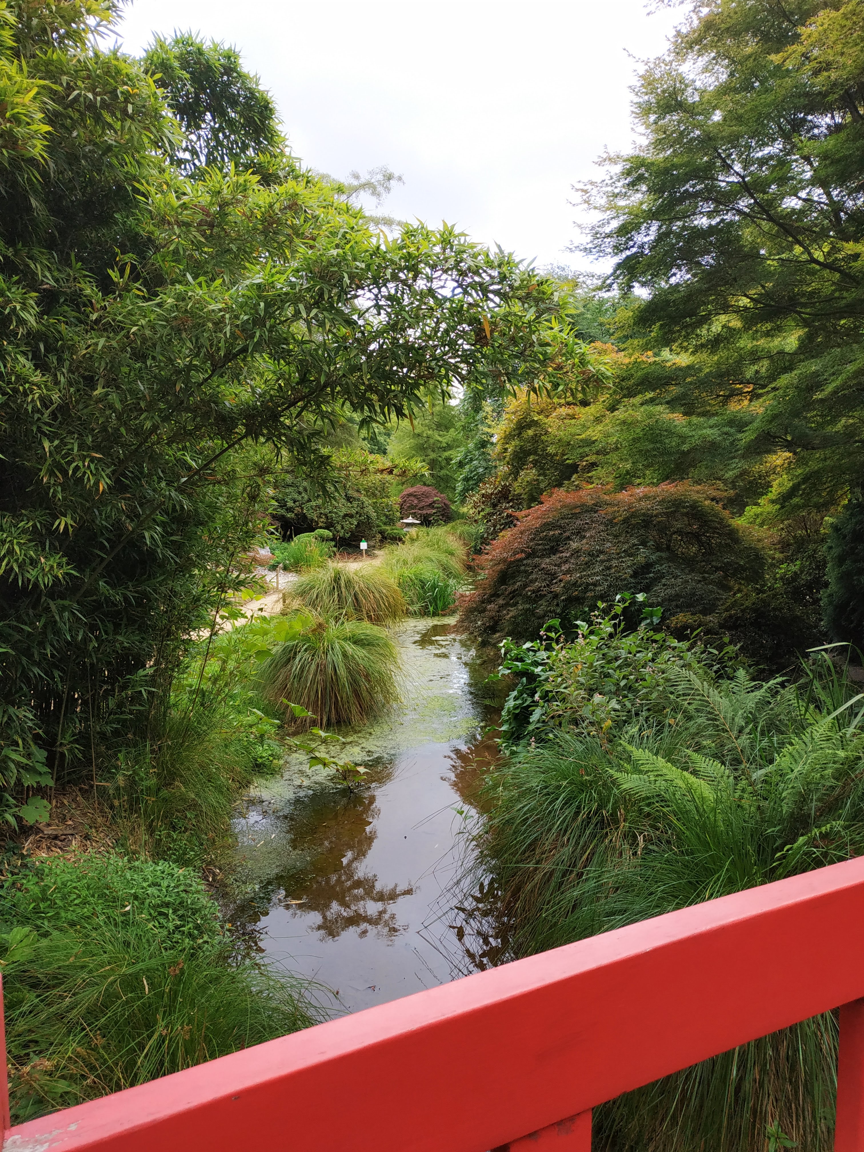 Photo n° 4 de l'avis de e.i fait le 05/08/2019 à 16:01
