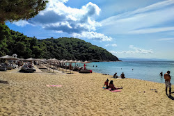 Banana beach'in fotoğrafı imkanlar alanı
