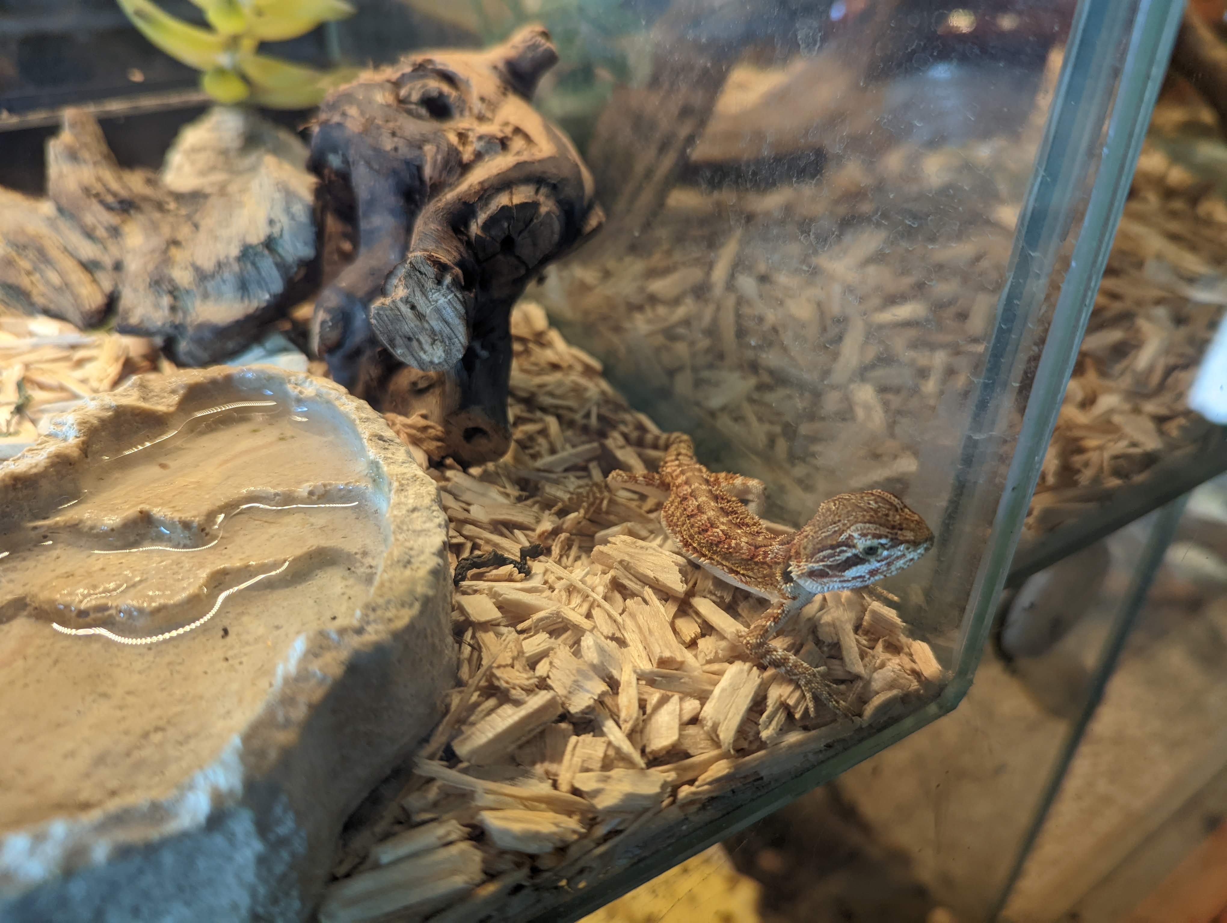 Photo n° 30 de l'avis de Mathieu.I fait le 07/05/2022 à 19:56