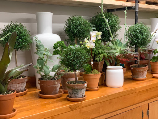 Florist «Englewood Florist, Inc.», reviews and photos, 47 E Palisade Ave, Englewood, NJ 07631, USA