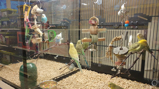 Pet Supply Store «PetSmart», reviews and photos, 12020 Cherry Hill Rd, Silver Spring, MD 20904, USA