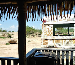 Ecological Center of Sonora photo