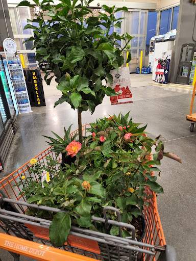 Home Improvement Store «The Home Depot», reviews and photos, 951 Westgate Way, Wylie, TX 75098, USA