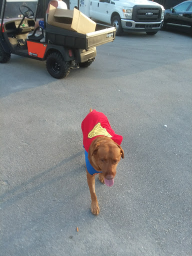 Amusement Park «House of Horror - Haunted Carnival», reviews and photos, 1455 NW 107th Ave, Doral, FL 33172, USA