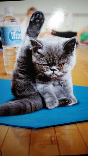 Pet Supply Store «PetSmart», reviews and photos, 351 N Frontage Rd, New London, CT 06320, USA