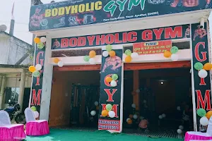BODYHOLIC GYM THE REAL MEN'S PLAYGROUND image