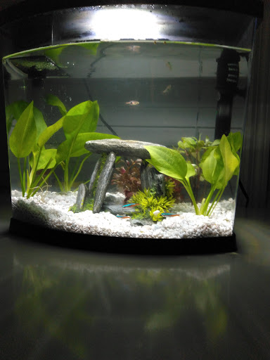 Pet Supply Store «Petco Animal Supplies», reviews and photos, 1391 NJ-35, Middletown, NJ 07748, USA