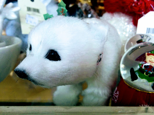 Gift Shop «The Virginia Shop», reviews and photos, 1047-B Emmet St N, Charlottesville, VA 22903, USA