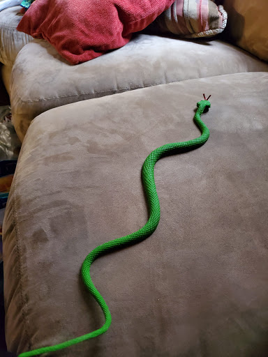 Grocery Store «Bravo Supermarkets», reviews and photos, 2435 US Hwy 98 N, Lakeland, FL 33805, USA