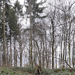 Photo n°2 de l'avis de Bonnie.c fait le 10/02/2022 à 09:08 sur le  Berggasthof Wilhelmshöhe à Stemwede