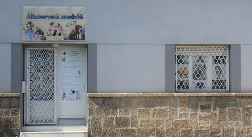 Csepel central veterinary clinic
