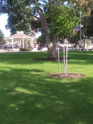 Holiday Park - photo 95
