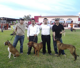 Vet Clinic Veterinary Specialties photo