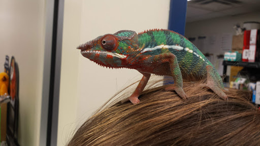 Pet Supply Store «Petco Animal Supplies», reviews and photos, 51 Middlesex Turnpike, Burlington, MA 01803, USA