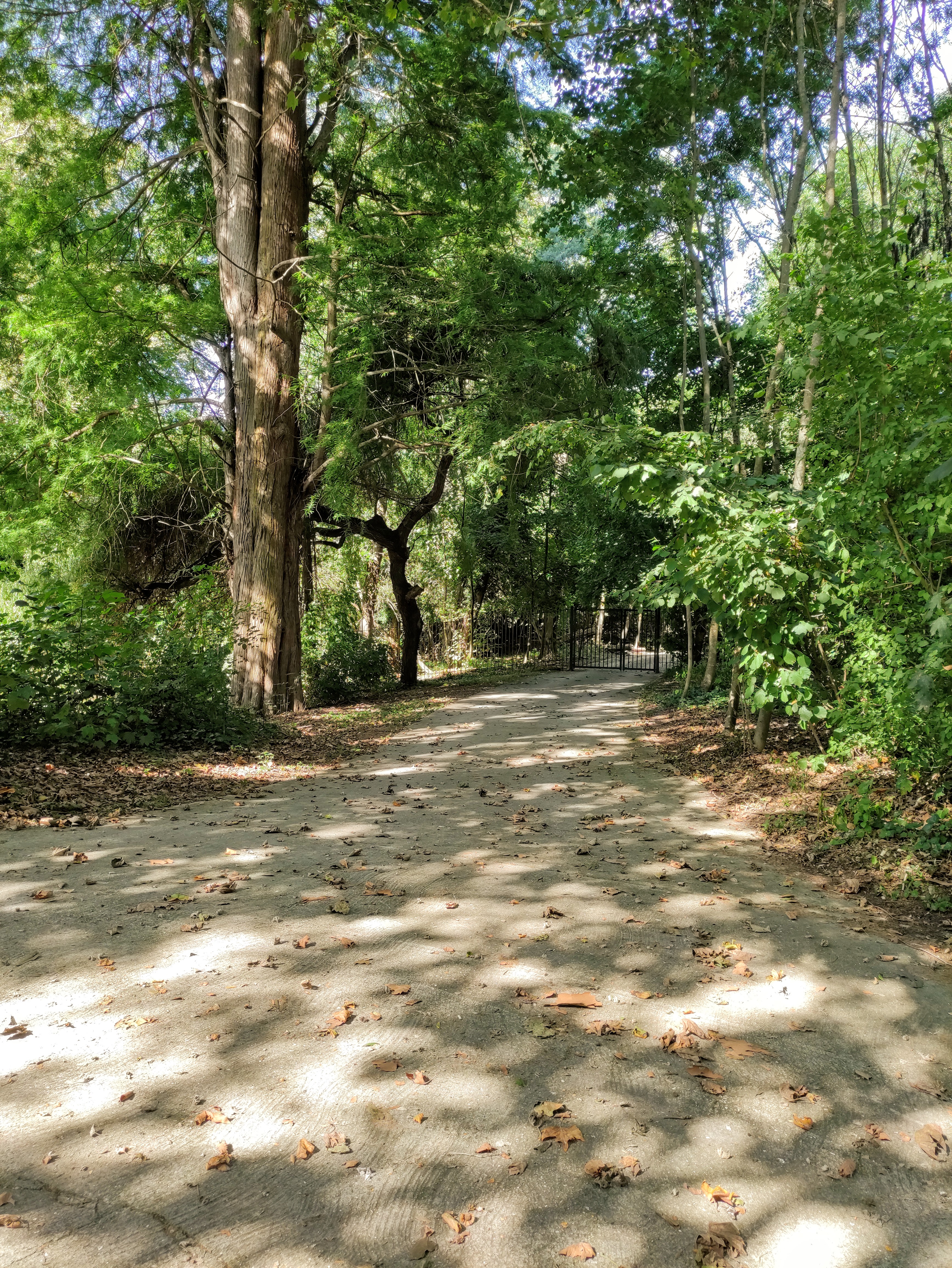 Photo n° 10 de l'avis de Naura.a fait le 04/09/2021 à 22:52