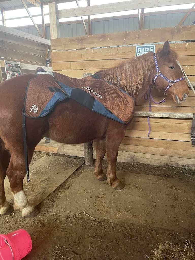 Hallistic Health LLC 54639