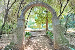 Djordjic Mayneri Park(Botanical Gardens) image
