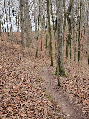 Burch Reserve Trailhead