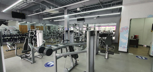 ANYTIME FITNESS LUCENA DIVERSION