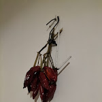 Photo n°1 de l'avis de Arturo.i fait le 26/07/2022 à 07:17 sur le  Ristorante La Baracca à San Benedetto Po