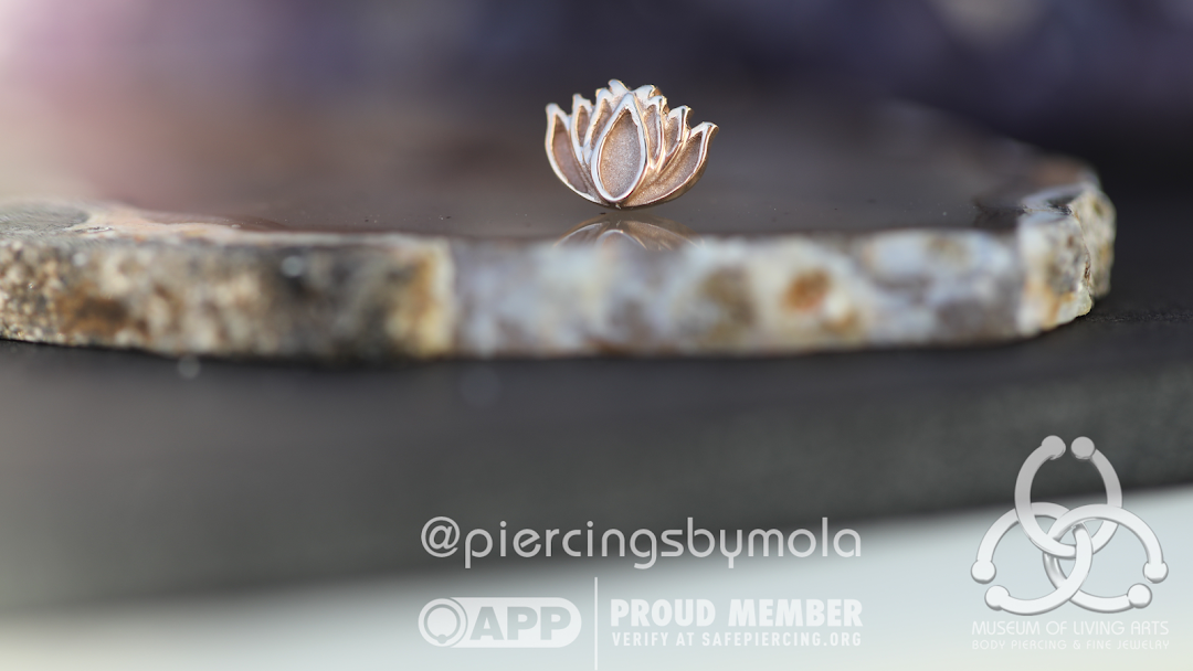 Museum Of Living Arts Body Piercing And Fine Jewelry