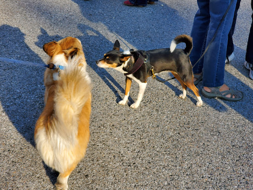 Wine Store «Wine Bin», reviews and photos, 8390 Main St #1, Ellicott City, MD 21043, USA