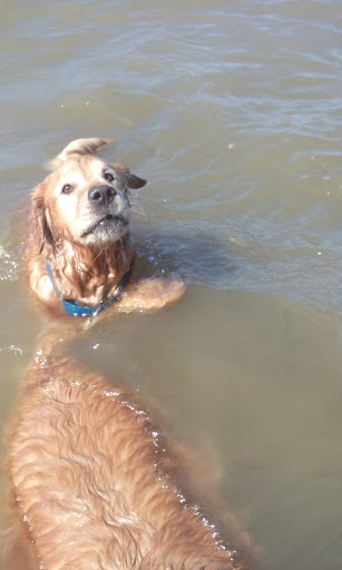 State Park «Dash Point State Park», reviews and photos, 5700 SW Dash Point Rd, Federal Way, WA 98023, USA