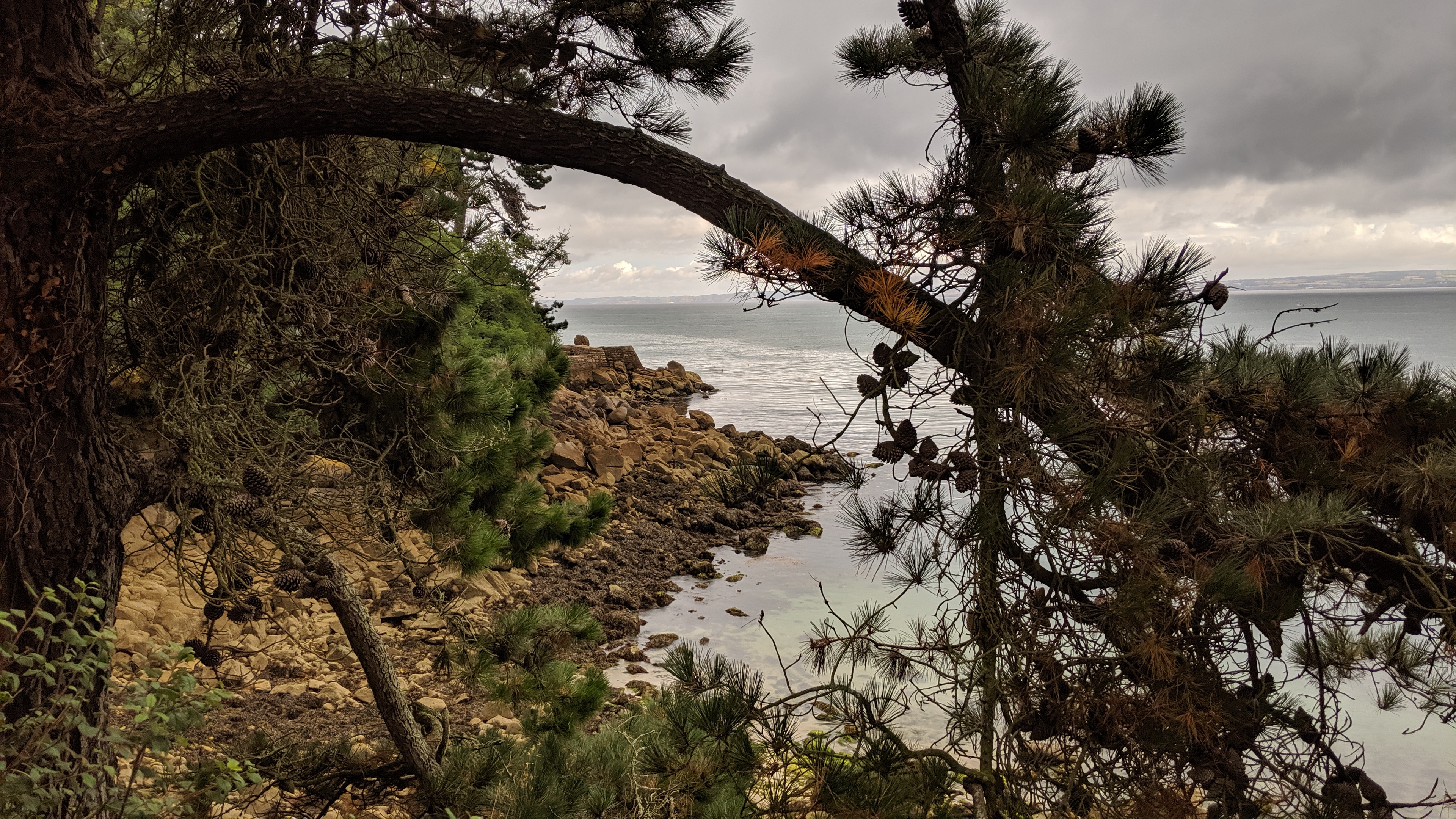 Photo n° 6 de l'avis de Christophe.O fait le 04/08/2019 à 05:00