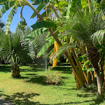 Photo n°3 de l'avis de Angela.a fait le 20/09/2023 à 14:17 sur le  Resort Hotel Tonicello à Capo Vaticano