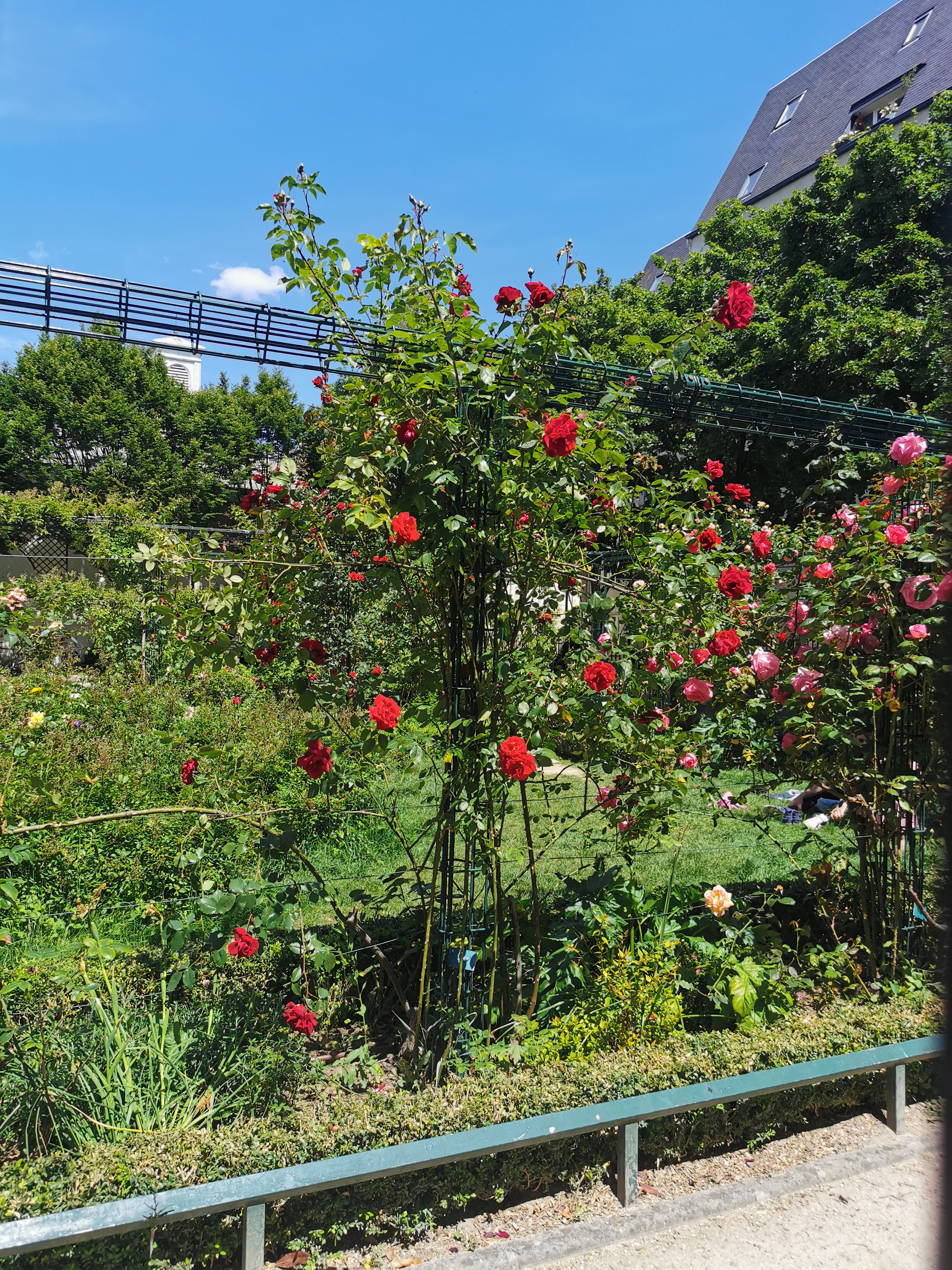 Photo n° 1 de l'avis de FORDANT-P.n fait le 30/05/2021 à 13:19