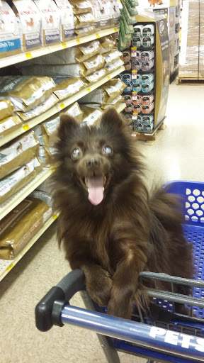 Pet Supply Store «PetSmart», reviews and photos, 6046 Marsha Sharp Fwy, Lubbock, TX 79407, USA