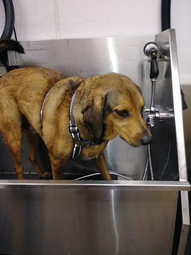 Pet Supply Store «Pet Supplies Plus», reviews and photos, 946 Joliet St, Dyer, IN 46311, USA