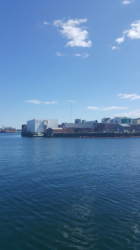 Brewpub «Cape Ann Brewing Co», reviews and photos, 11 Rogers St, Gloucester, MA 01930, USA