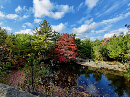 State Park «Blue Hills Reservation», reviews and photos, 695 Hillside St, Milton, MA 02186, USA