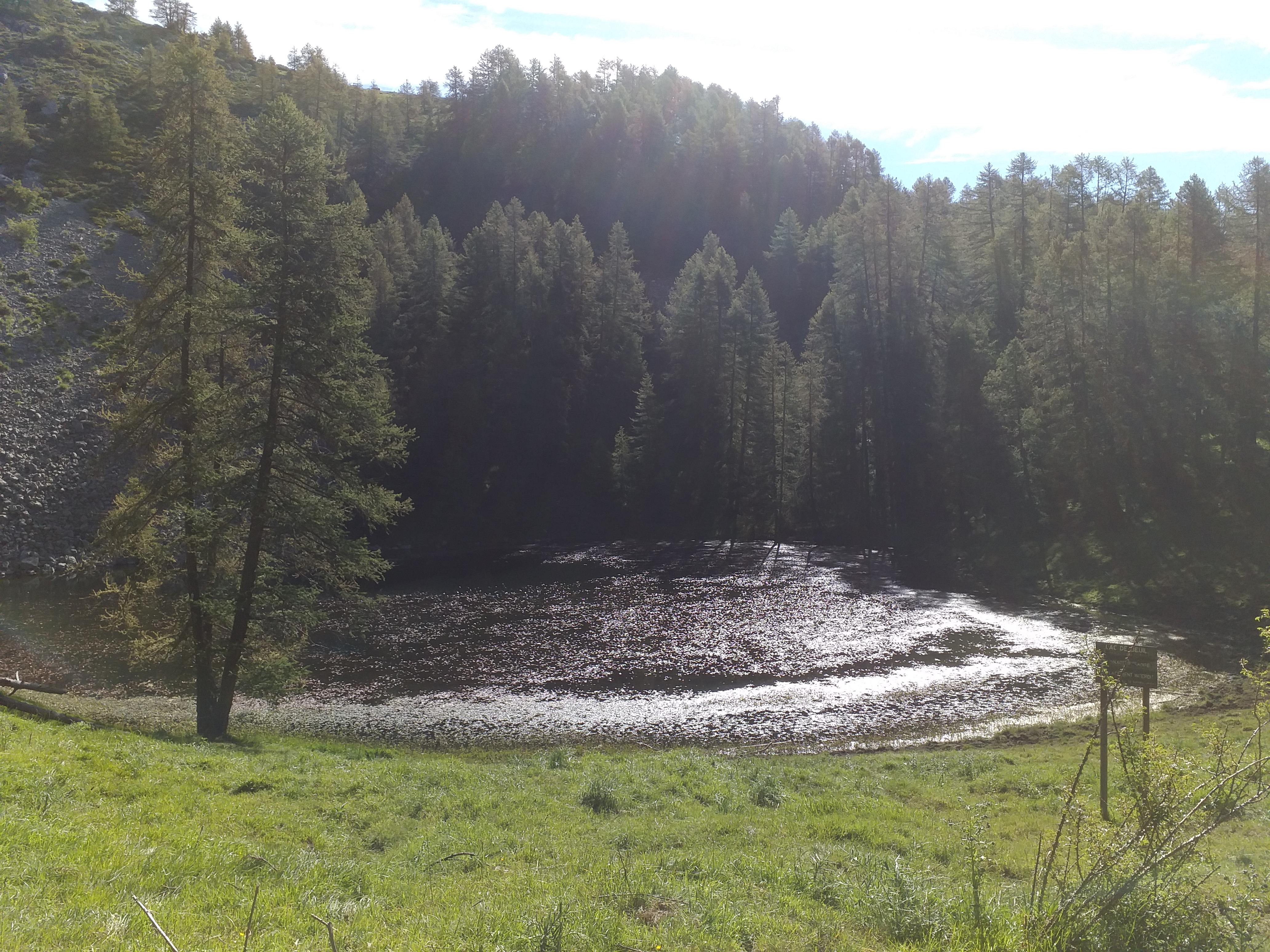 Photo n° 2 de l'avis de Rich.e fait le 21/06/2020 à 13:01