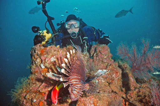 Scuba diving shops in Washington